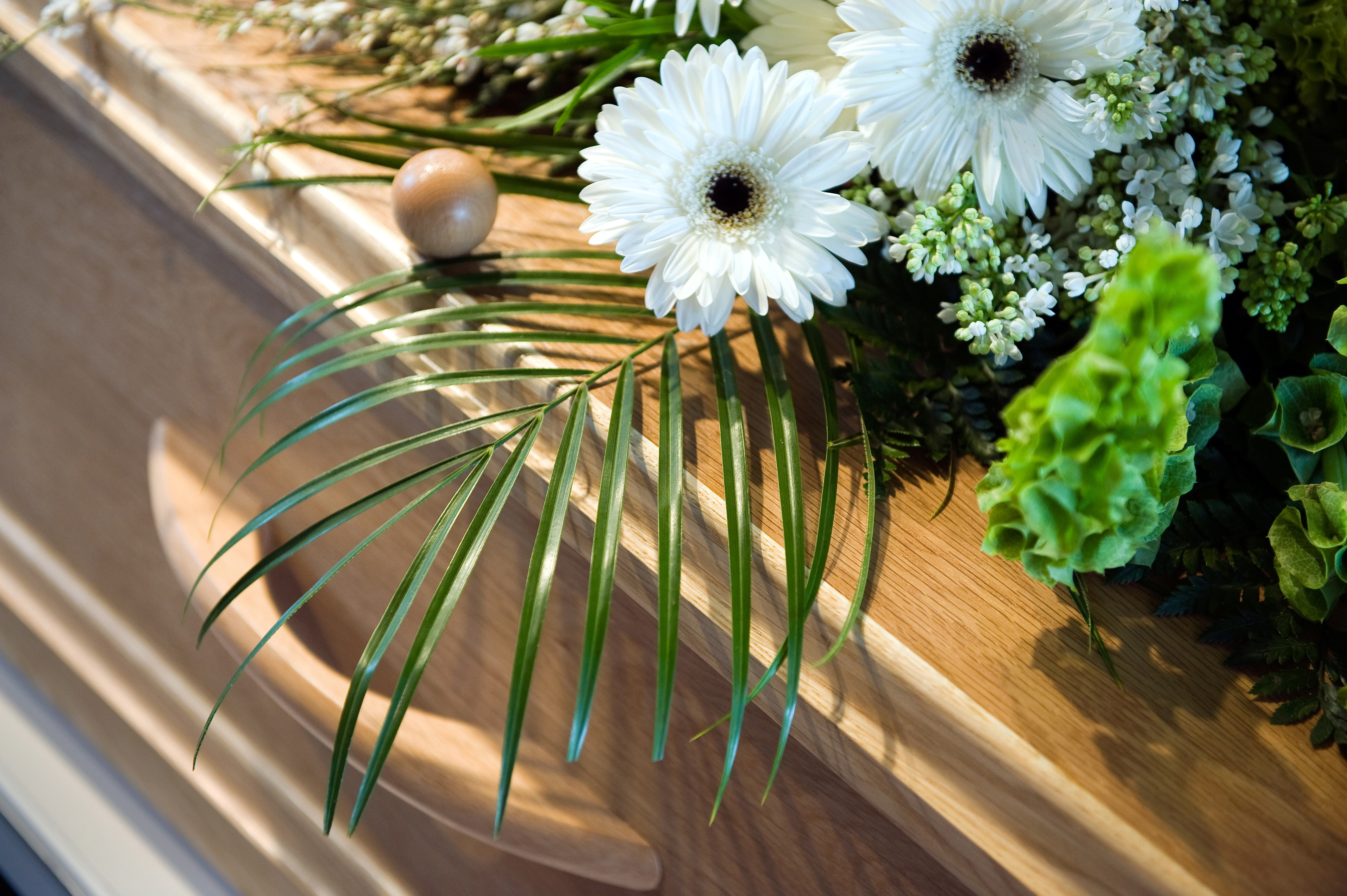 Humusation : Que dit la législation funéraire suisse sur le sujet ?