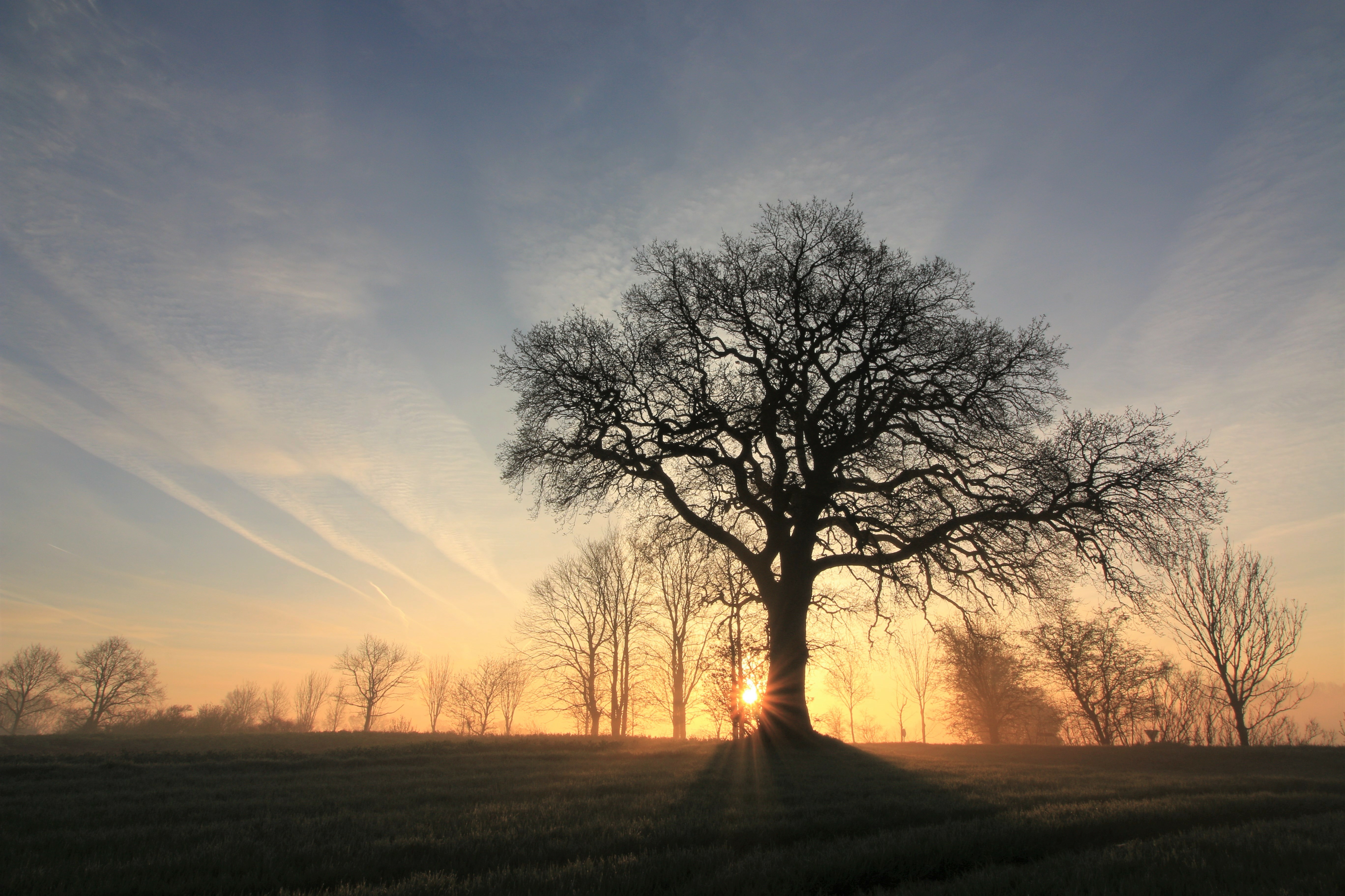Wie verfasst man ein Leidzirkular?