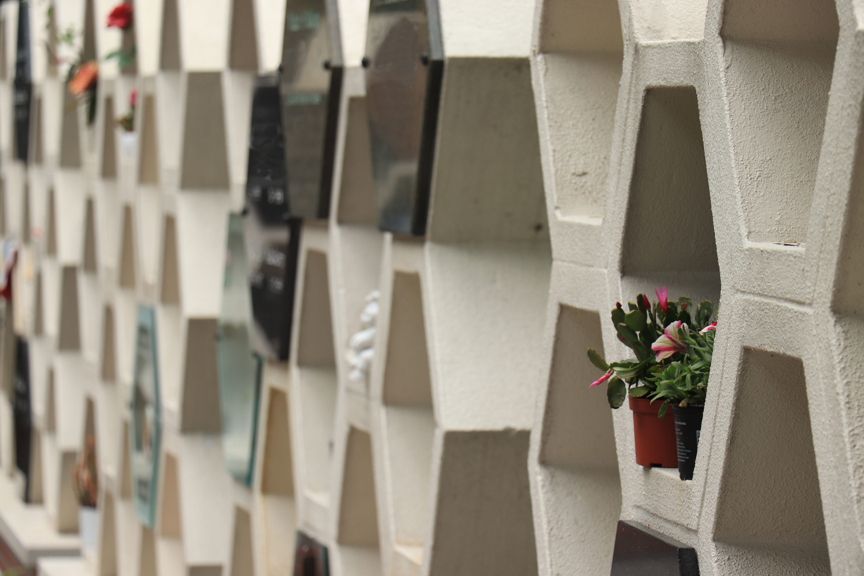 Was ist eine Kremation?