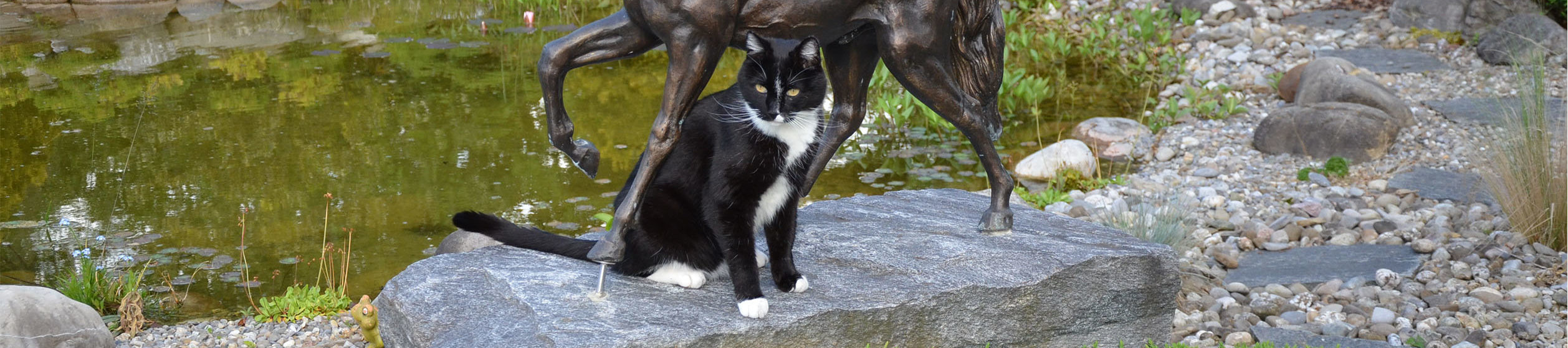 Was tun, wenn mein geliebtes Haustier stirbt?